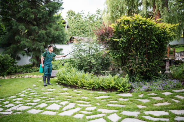 Best Residential Pest Control  in Burgin, KY